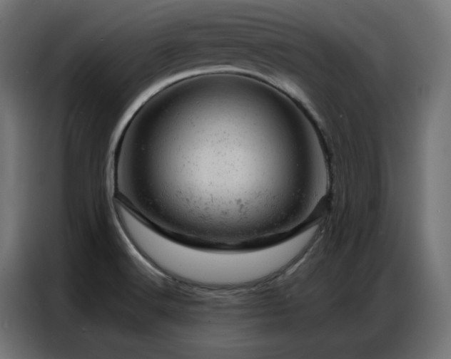 X0000087001516200704161514