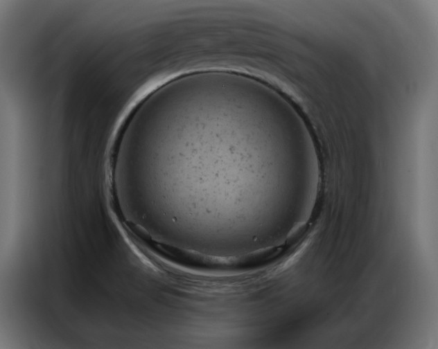 X0000087001517200704161514