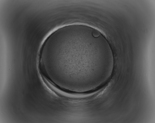 X0000087001518200704161514