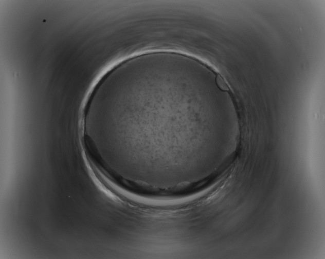 X0000087001519200704161514