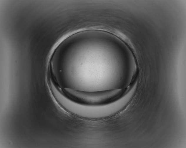 X0000087001520200704161515