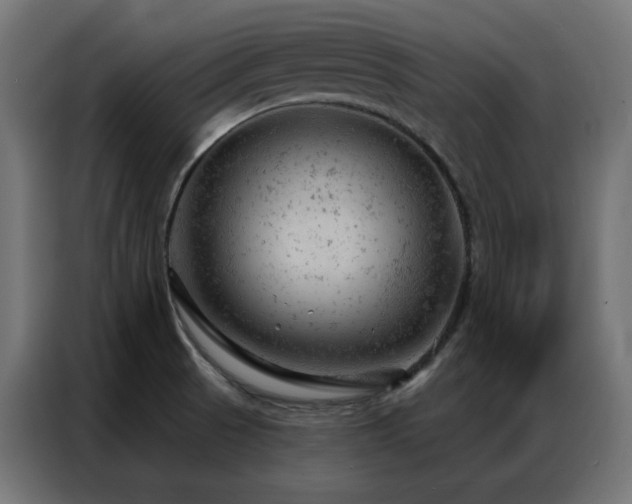 X0000087001521200704161515
