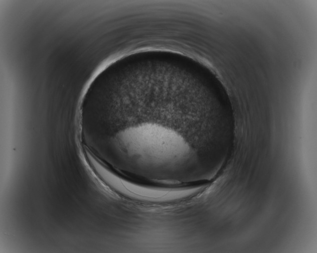 X0000087001522200704161515