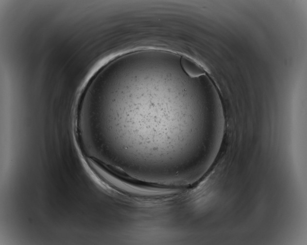 X0000087001523200704161515