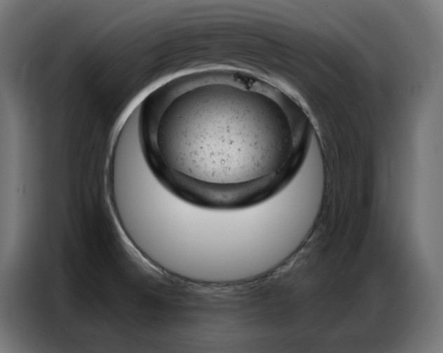 X0000087001524200704161515