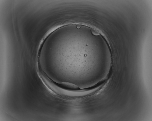 X0000087001525200704161515