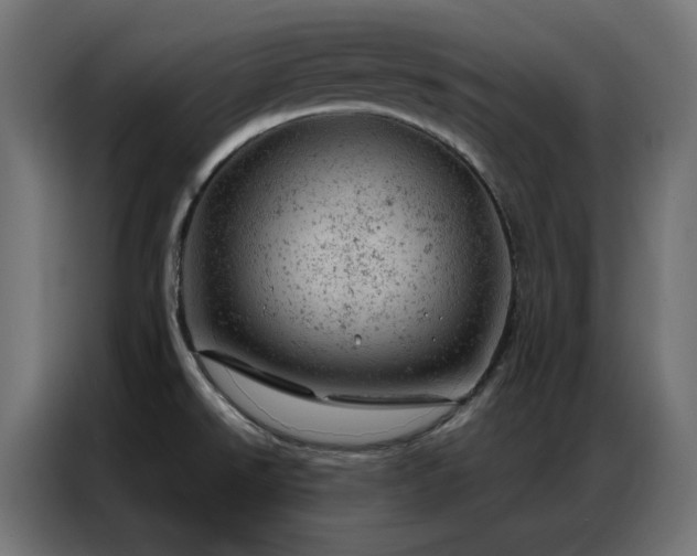 X0000087001526200704161515