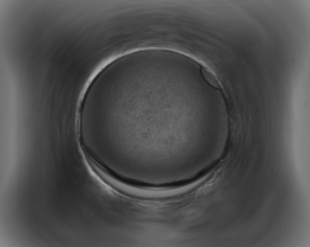 X0000087001527200704161515