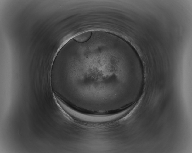 X0000087001529200704161515