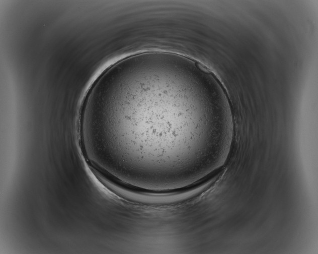 X0000087001531200704161515