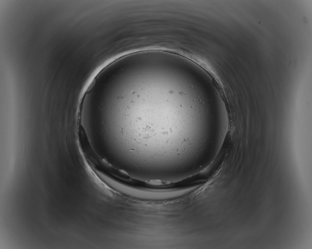 X0000087001532200704161515