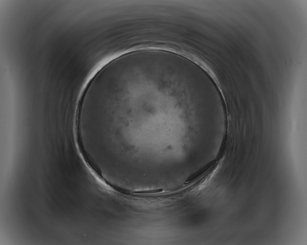 X0000087001533200704161515