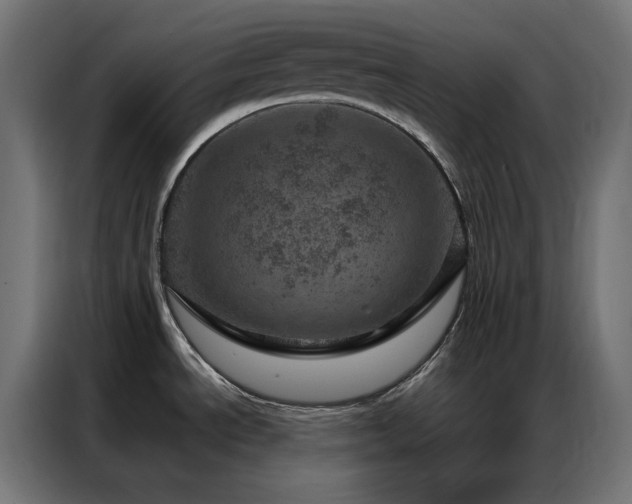 X0000087001534200704161515