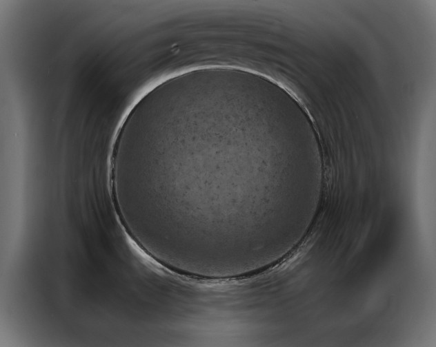 X0000087001535200704161515