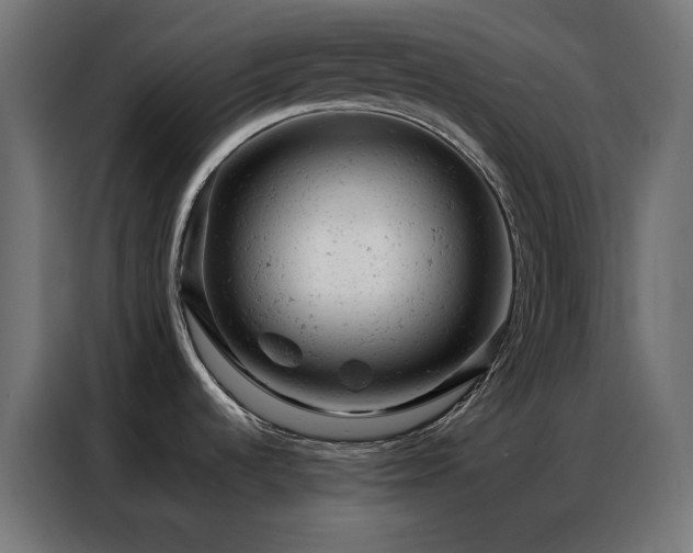 X0000087001536200704161515