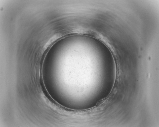 X0000087000011200704231921