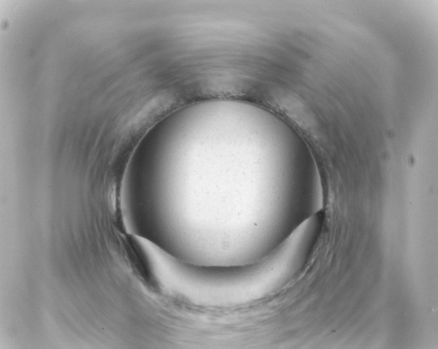 X0000087000021200704231921