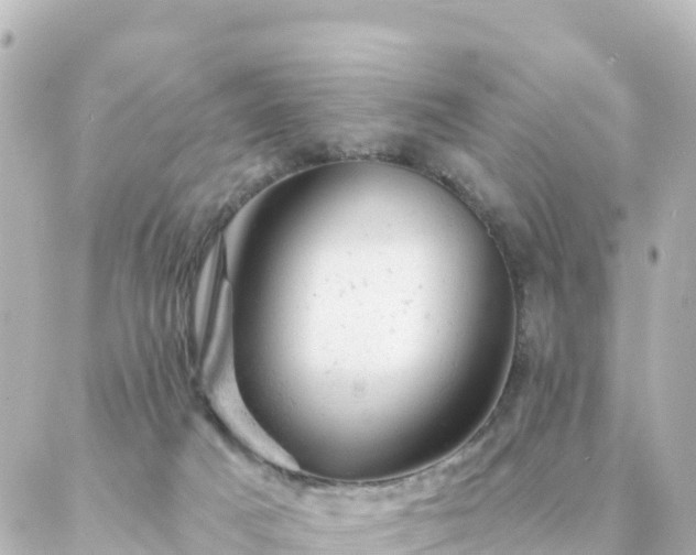 X0000087000025200704231921