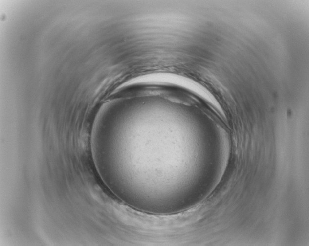 X0000087000035200704231921