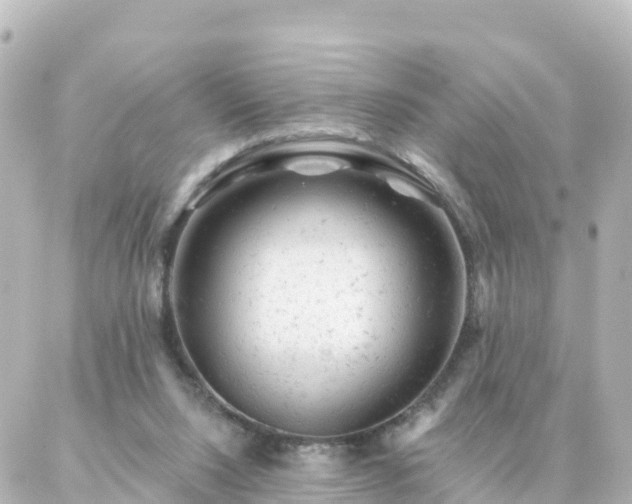 X0000087000064200704231920