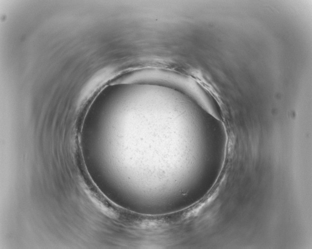 X0000087000101200704231920