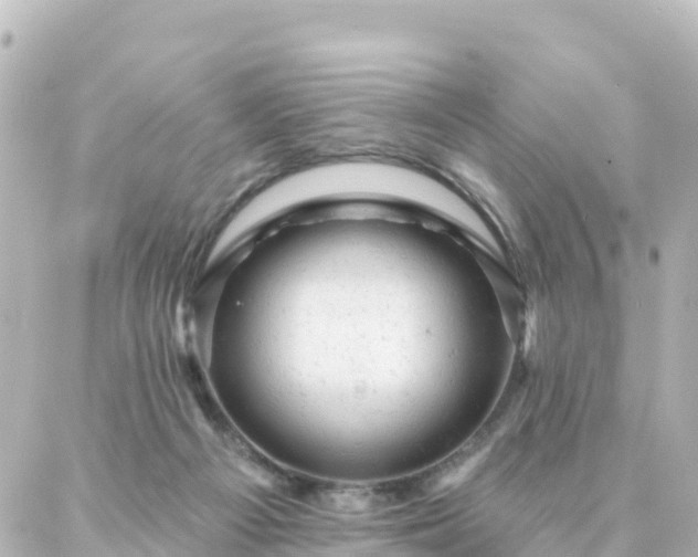 X0000087000121200704231919