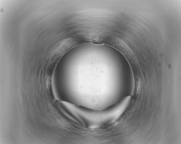 X0000087000125200704231919
