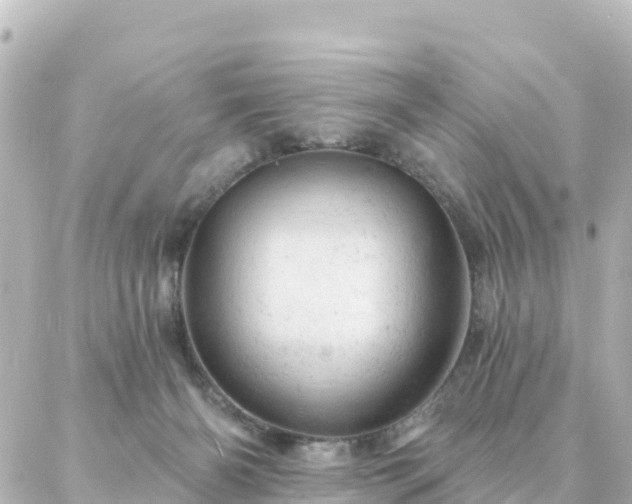 X0000087000126200704231919