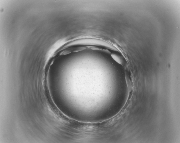 X0000087000152200704231918