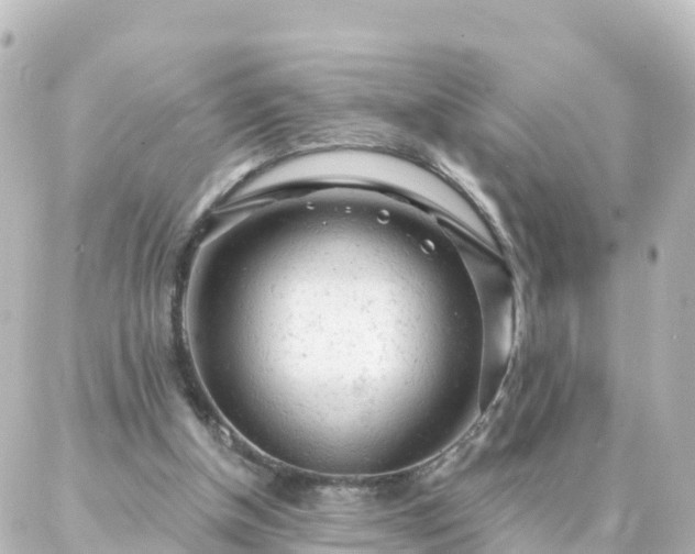 X0000087000154200704231918