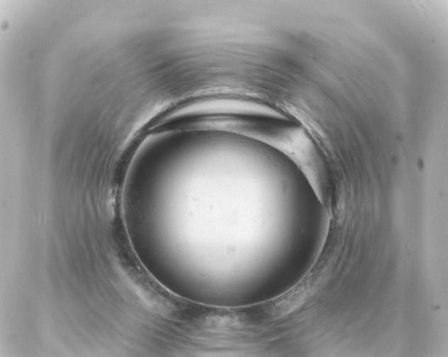 X0000087000160200704231918