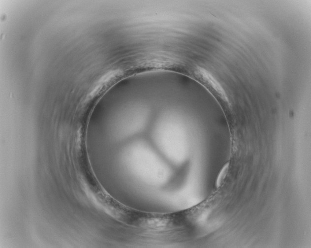X0000087000163200704231918