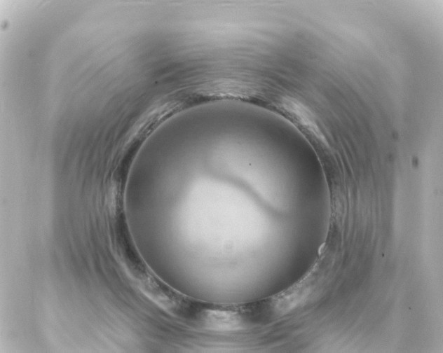 X0000087000167200704231919