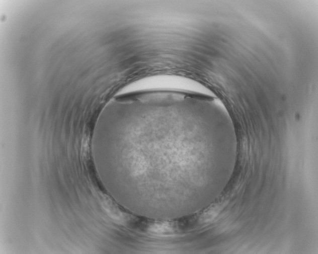 X0000087000177200704231919
