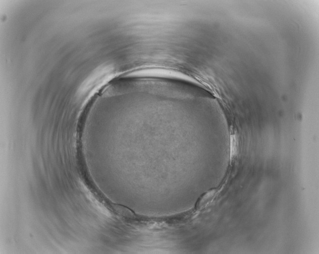 X0000087000243200704231917