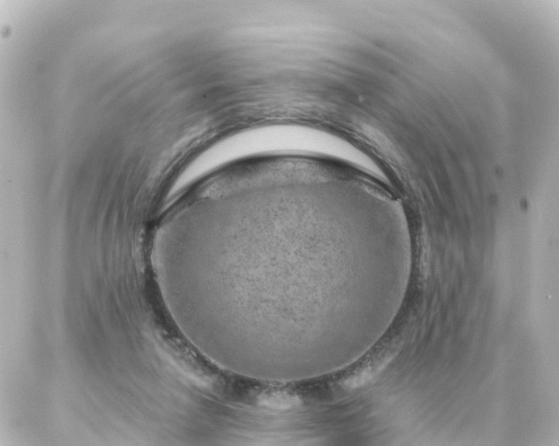 X0000087000258200704231917