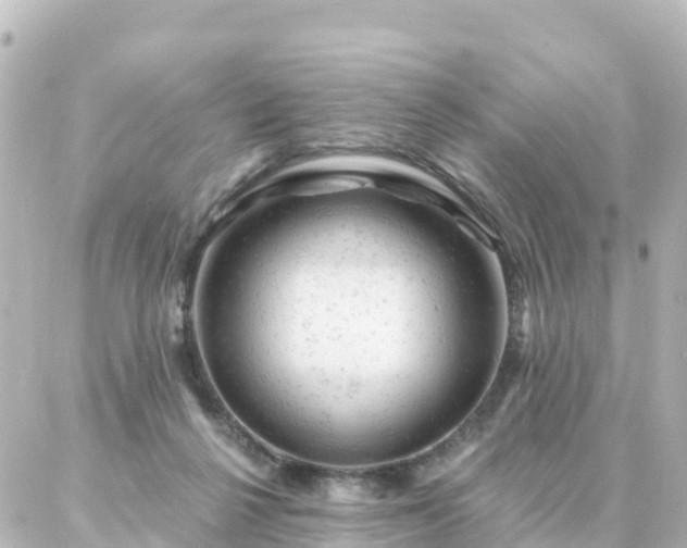 X0000087000264200704231917