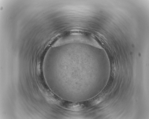 X0000087000267200704231917