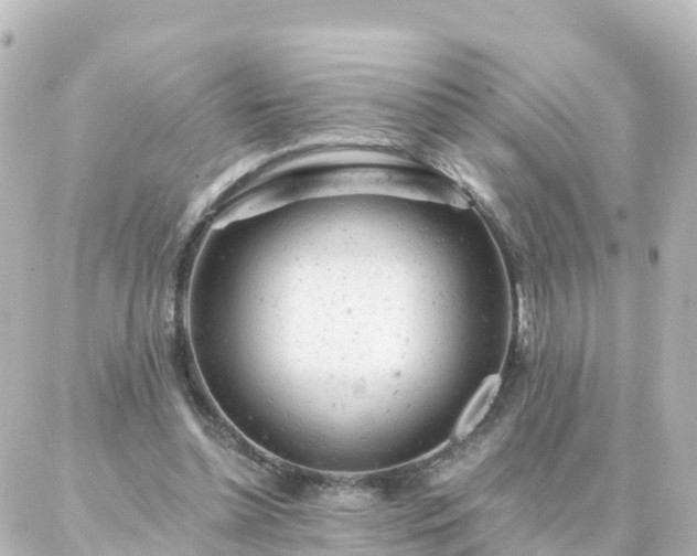 X0000087000348200704231915