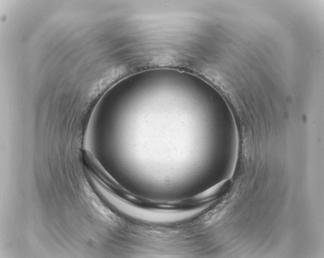 X0000087000393200704231915