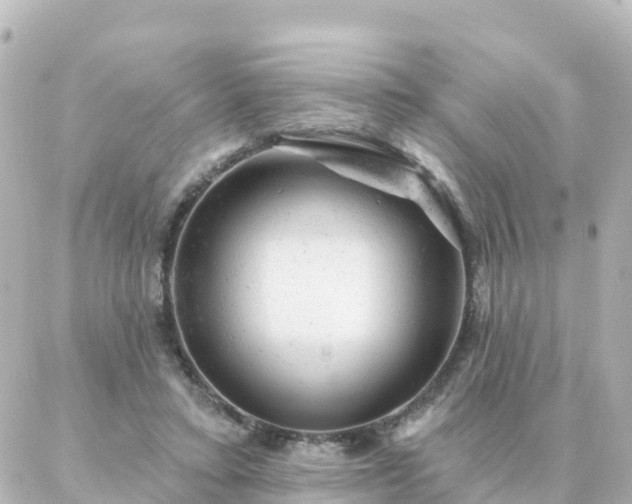 X0000087000403200704231915