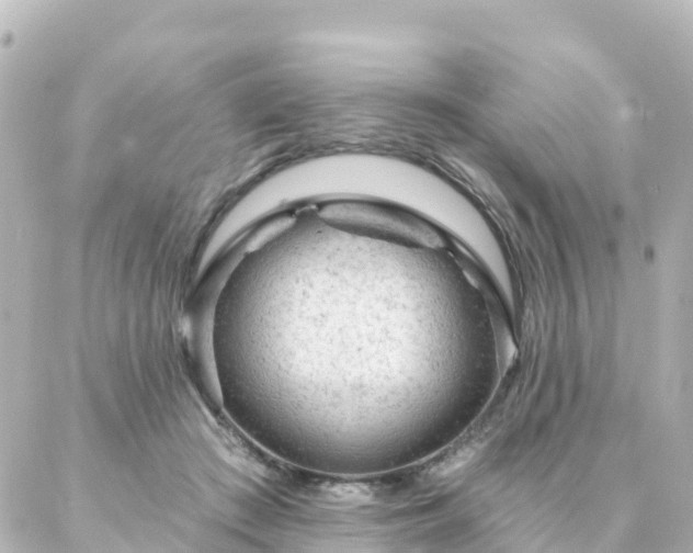 X0000087000409200704231915