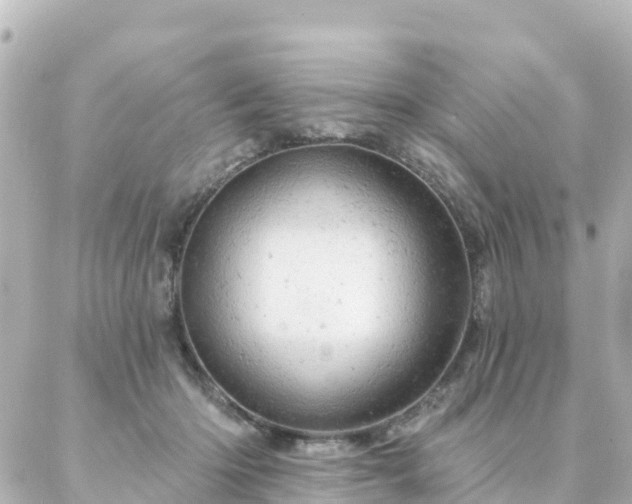 X0000087000414200704231915