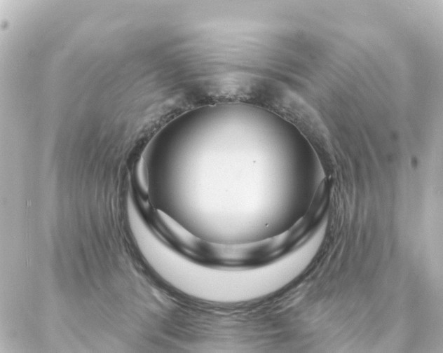 X0000087000416200704231915
