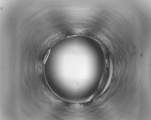 X0000087000421200704231914