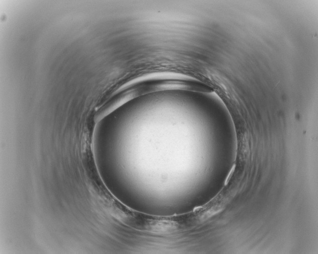 X0000087000463200704231914