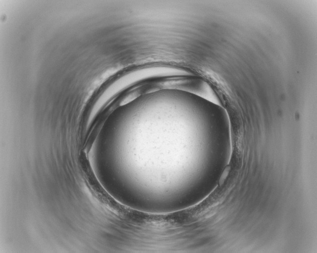 X0000087000540200704231912