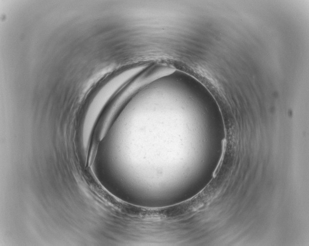 X0000087000587200704231912