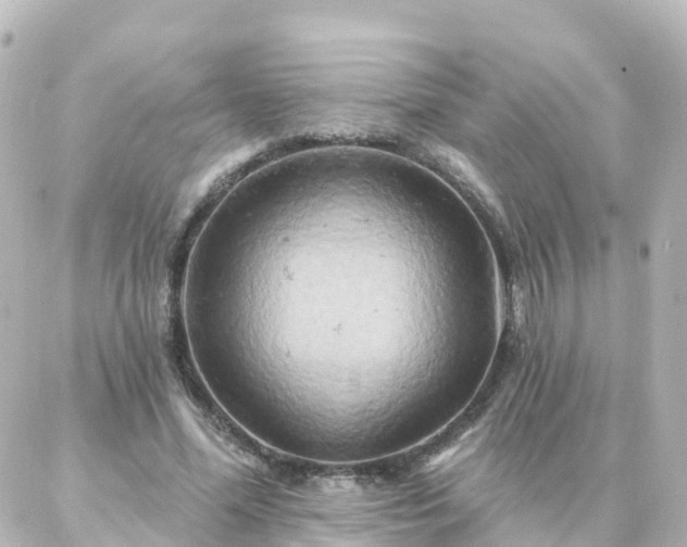 X0000087000588200704231912