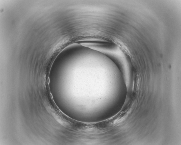 X0000087000589200704231912